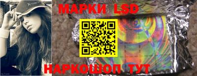 амф Можга