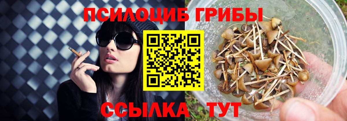 Псилоцибиновые грибы Magic Shrooms Владимир