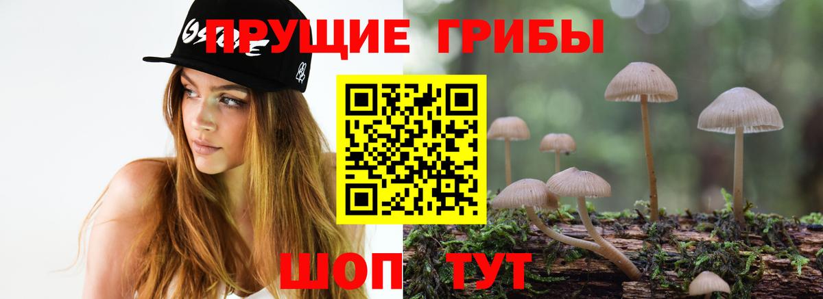 наркота  Псилоцибиновые грибы Magic Shrooms  Вход с VPN  Владимир 